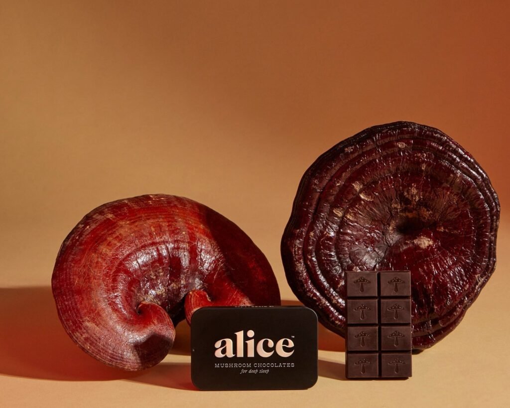 Alice Mushrooms NightCap – 4 Tins (64 Doses) — UK Shroom Bros