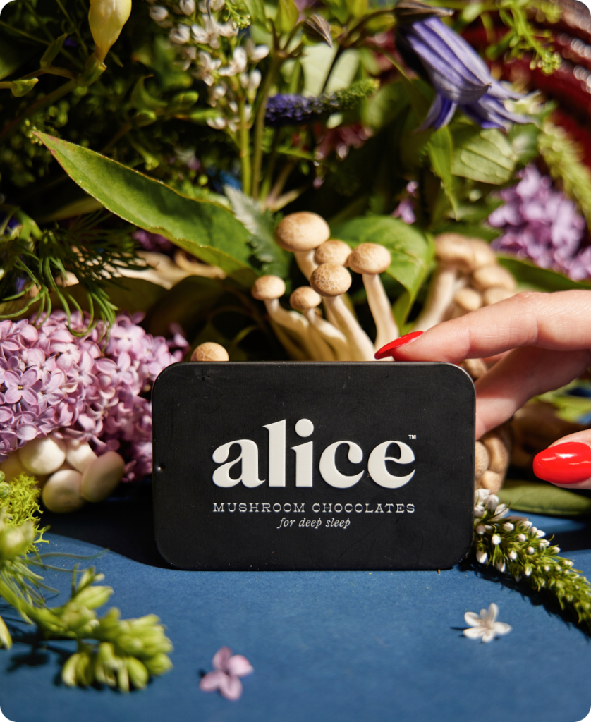 Alice Mushrooms NightCap – 2 Tins (32 Doses) — UK Shroom Bros